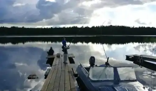 Медведева - 5