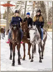 Веста - 1