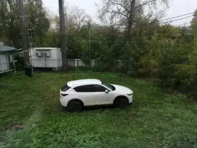 КсеАль - 8
