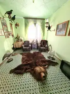 Терем - 17