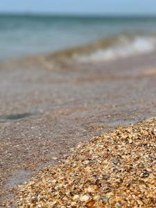 AZOV GoldenSands - 40