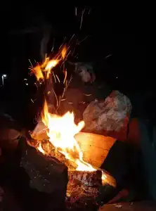 АрГардъ - 31