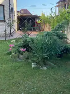 Azov Club - 36