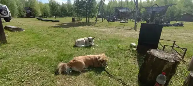 Деревня охотников - 3