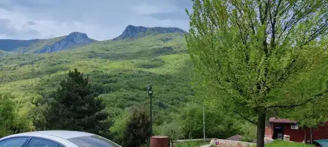 Лесной кордон - 82