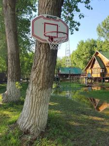 Прокоста - 26