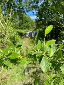 Дом на берегу Ладоги Tervunjoki - 39