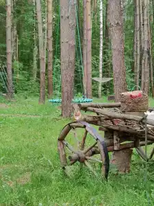СмородинаХаус - 56