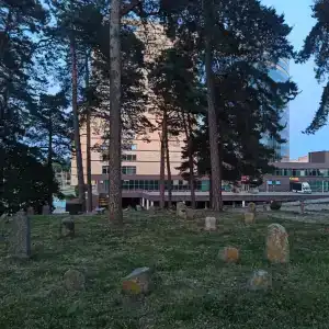 Виктория Олимп отель и бизнес-центр - 32