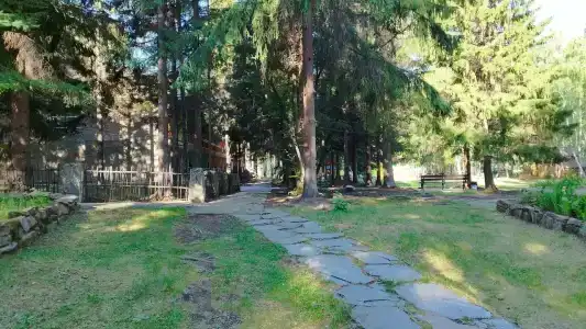 Солнечная поляна - 70