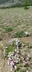 Загородный дом - 47