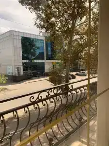 Чулпан - 2