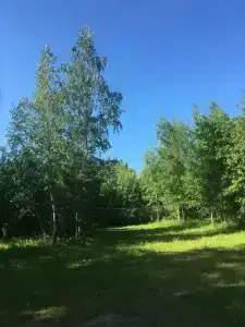 Конни - 2