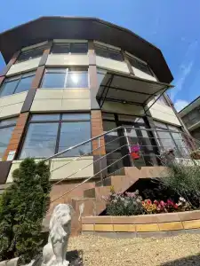 Золотой абрикос - 0