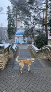 Варзи-Ятчи - 33
