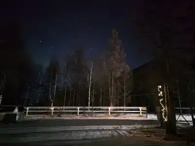 Орлик - 19