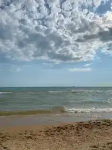 Золотые Барханы - 20