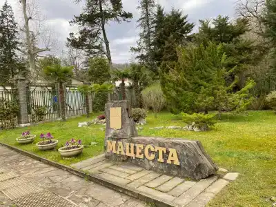 Мацеста - 84