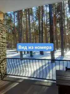 Дружба - 40