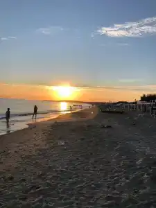 Фридом Веселовка - 2