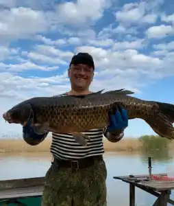 Флотраскат - 8