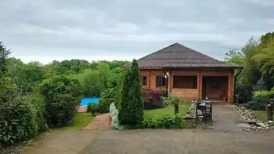 у Светланы - 23
