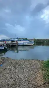 Дом Жар-Птицы - 8