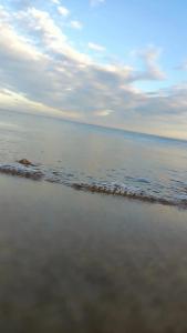 Кизлярская Лагуна - 64