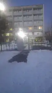 Кедр - 13