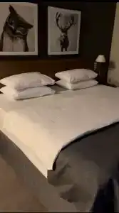 Северная - 79