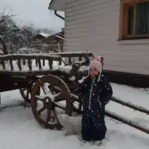 Финская деревня - 48