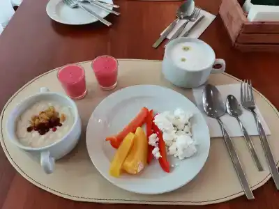 Cosmos Petrozavodsk - 86