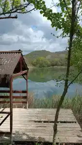 Родное - 74