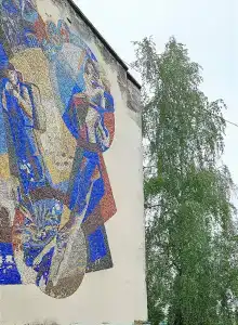 Чайка - 45