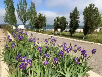 Наука - 20
