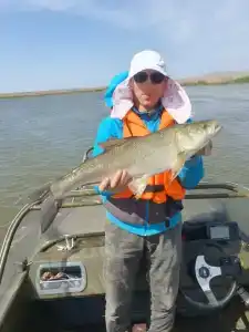 Флотраскат - 49