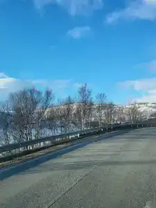 Морская рыбалка - 16