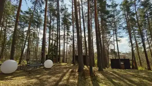 Стеклянный берег - 34