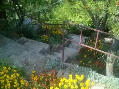 Замок грез - 56