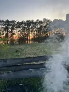 Смородина - 18