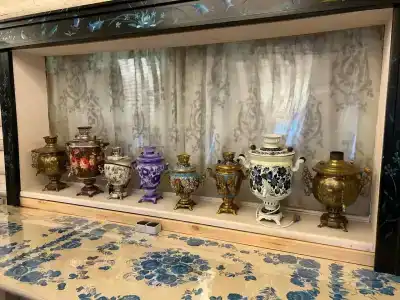 Облепиха - 13