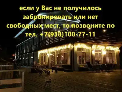 Совы - 48