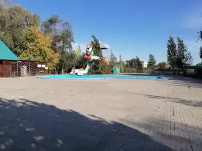 Березовые дали - 15