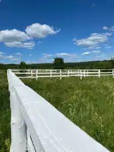 Лаки Лейк - 2