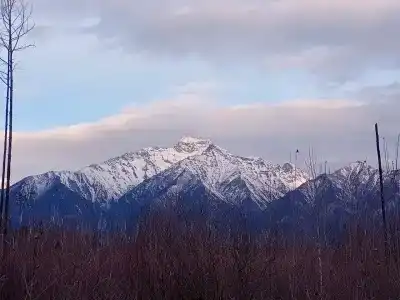 Кучигер - 46