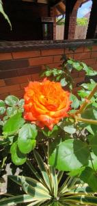 Гостевой дом на Гоголя, 8 - 56