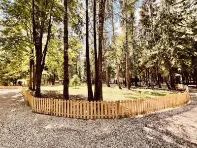 Лукоморье - 2