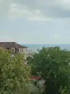 Альбатрос - 35