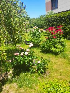 РиверСайд - 78