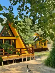 Бард Вилладж - 8